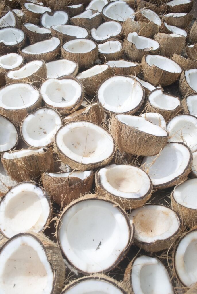 premium Indonesian coconut shell hookah briquettes