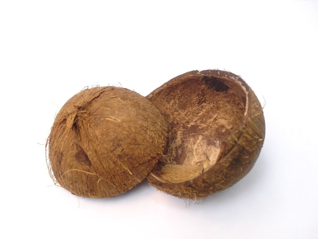 Coconut shells, the raw material for our briquette blog.